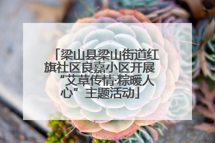 梁山县梁山街道红旗社区良嘉小区开展“艾草传情·粽暖人心”主题活动